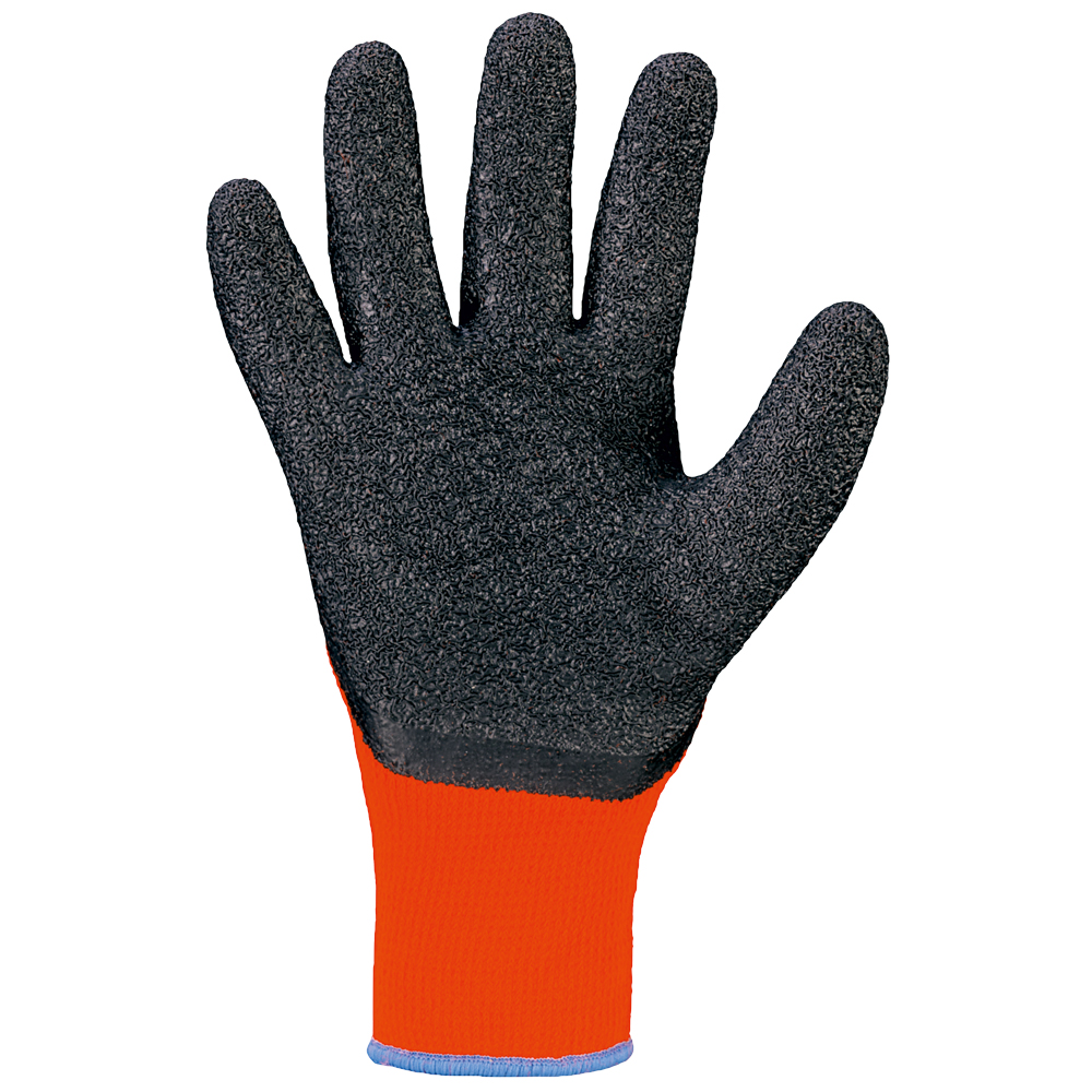 Stronghand® Rasmussen 0240, cold protection gloves in the back view
