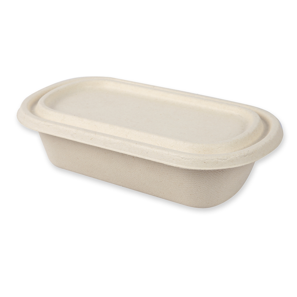 Organic snack trays, oval made of bagasse with lid
