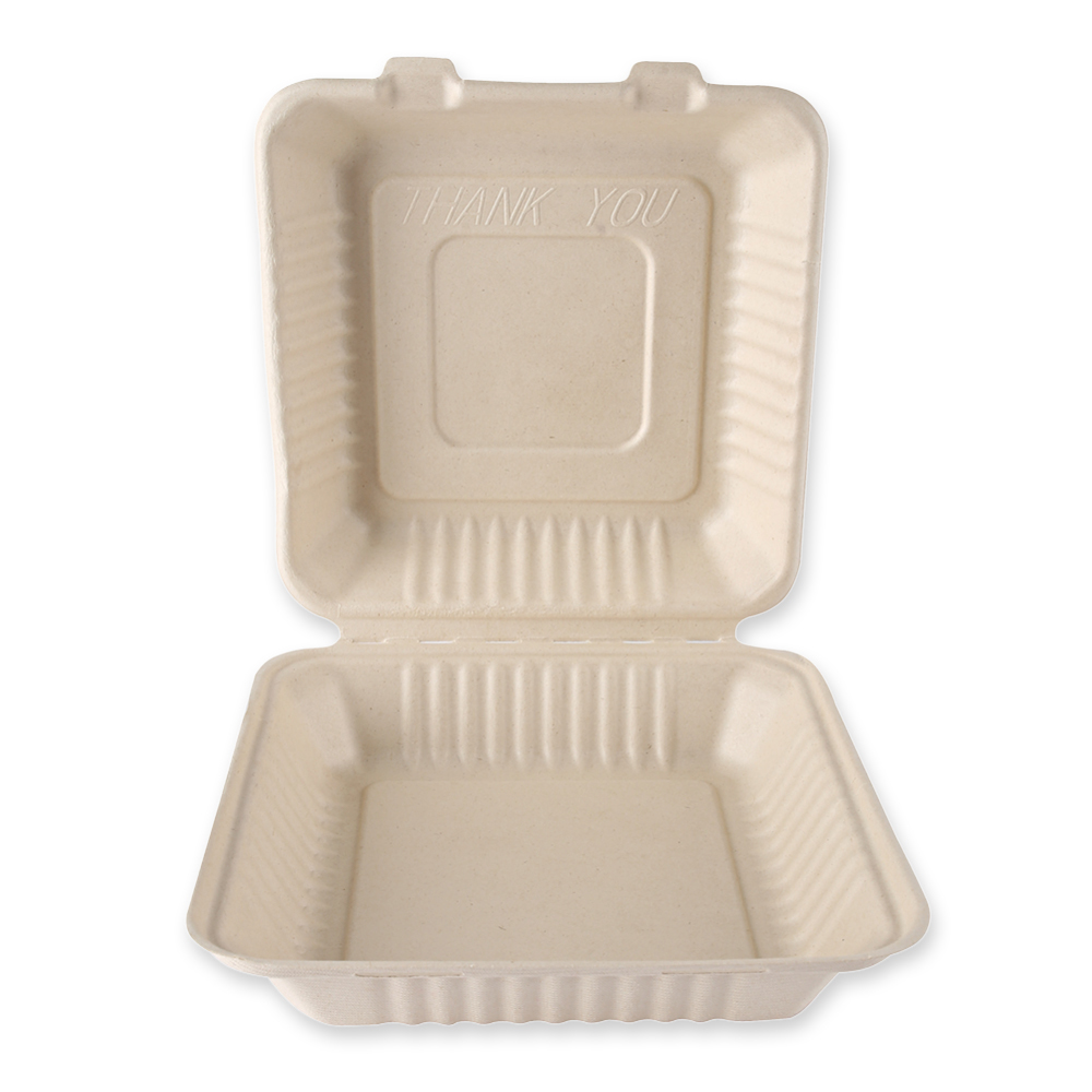 Organic menu boxes with hinged lid made of bagasse, in the front view