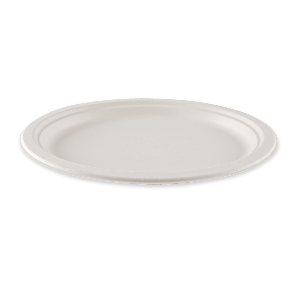 Organic plates, oval made of bagasse, angled view