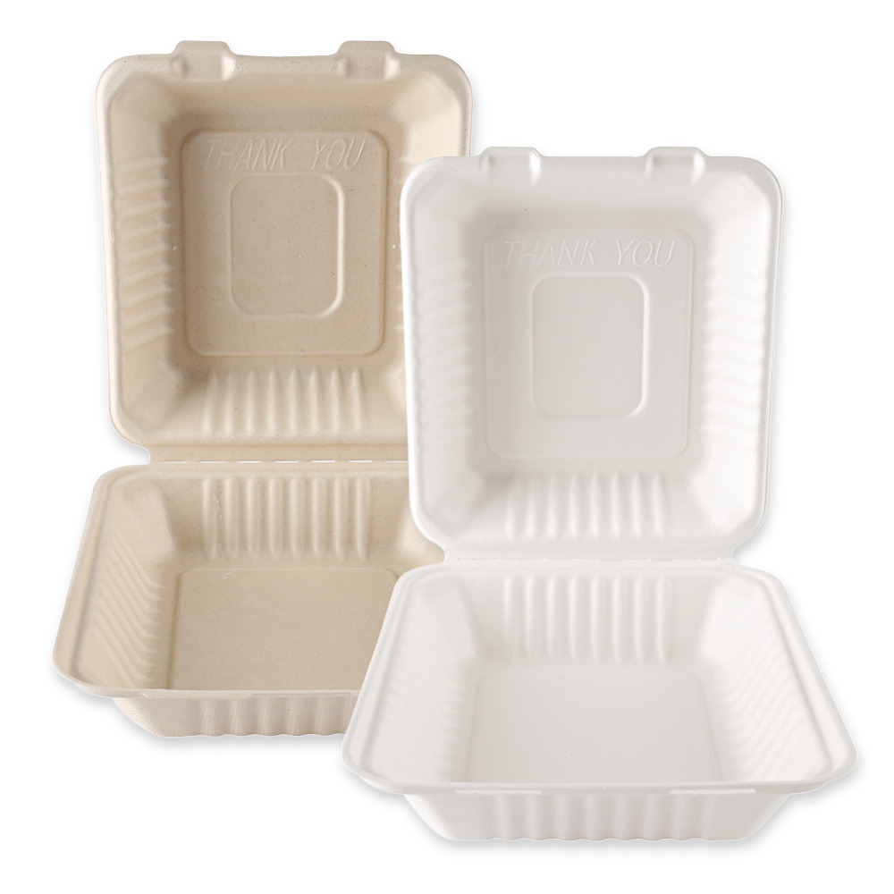 Organic menu boxes with hinged lid made of bagasse, preview image