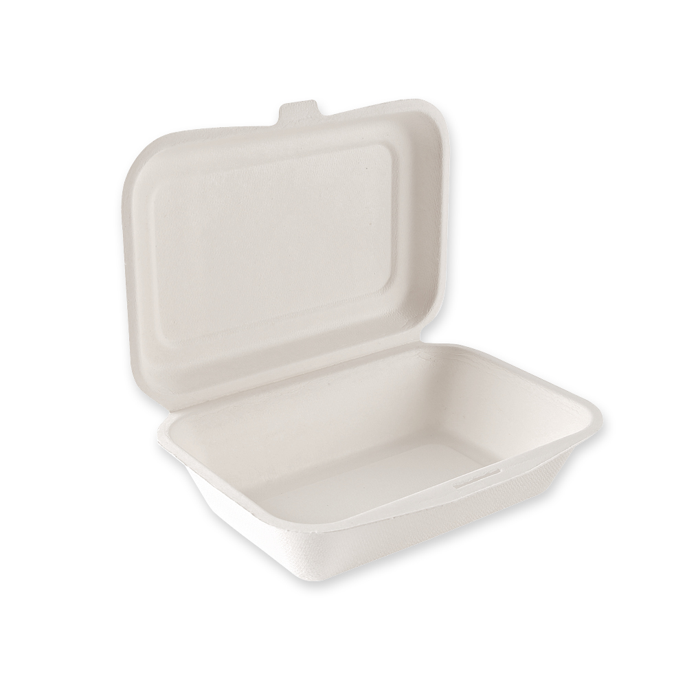 Organic menu boxes with hinged lid made of bagasse in the side view