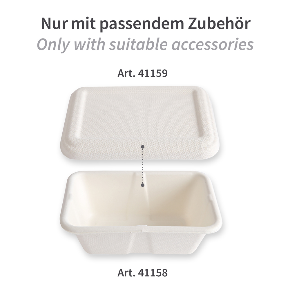 Organic trays made of bagasse, accessories