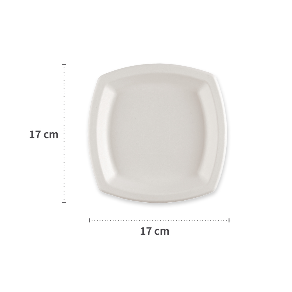 Organic plates, square made of bagasse with dimensions