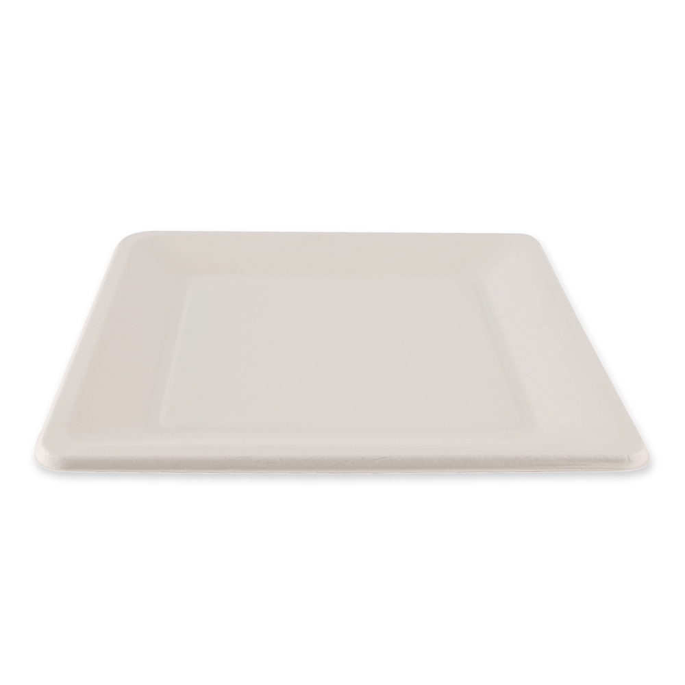 Organic plates, square made of bagasse, angled view