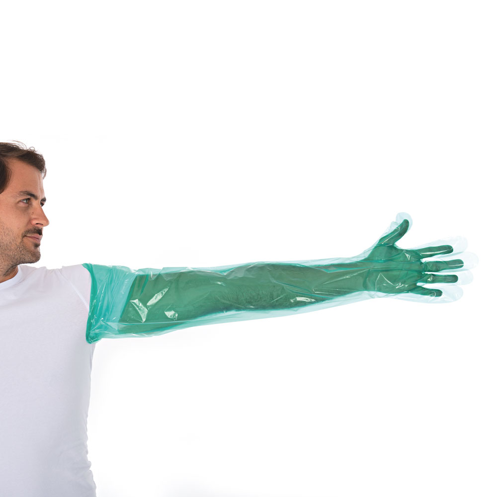 LDPE-Handschuhe Softline Long in grün als Armschutz