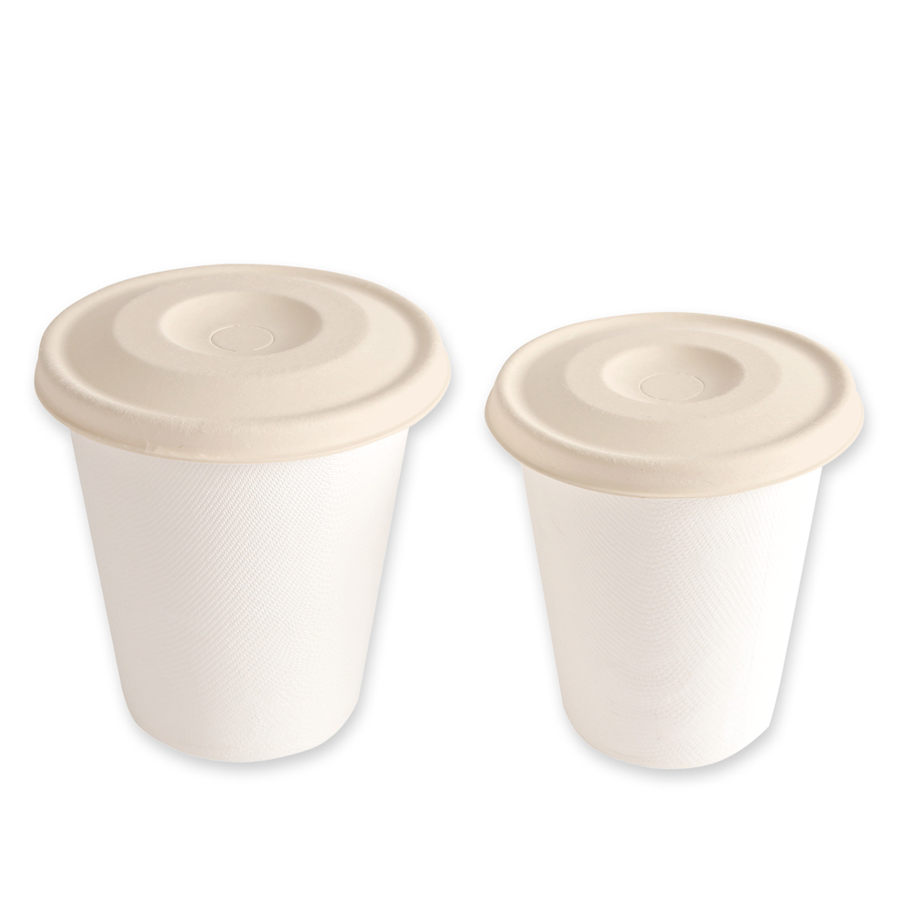 Organic flat lids made of bagasse, with cup nature
