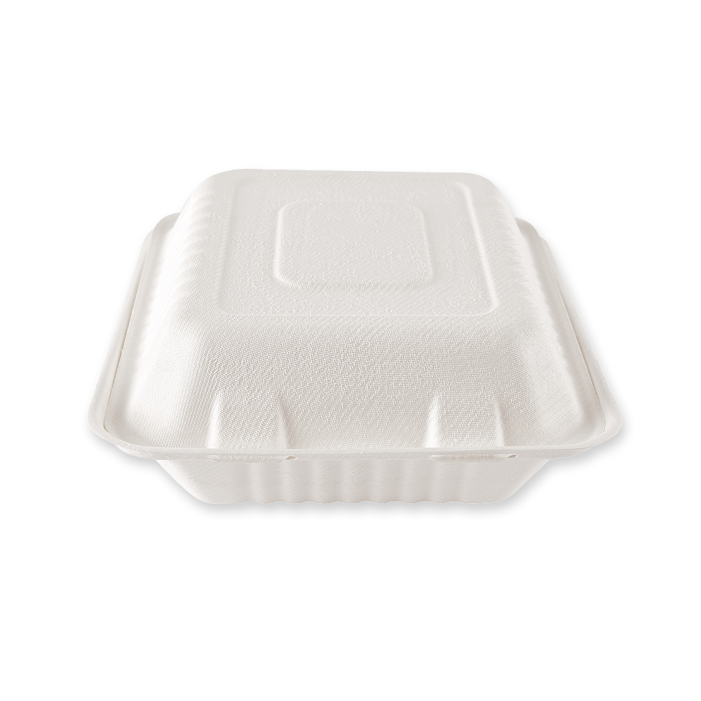 Organic menu boxes with hinged lid made of bagasse, 22 cm long and closed