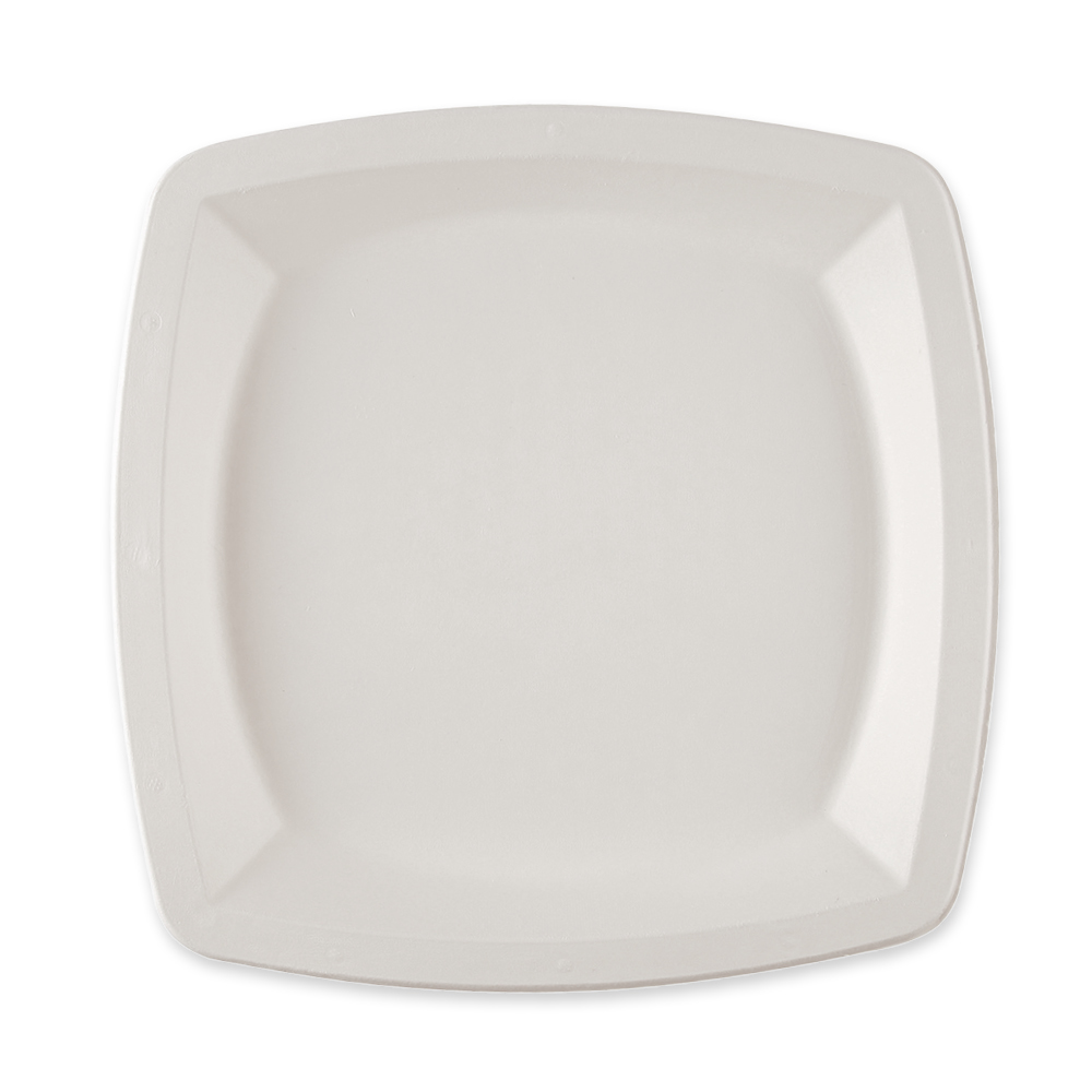 Organic plates, square made of bagasse, front view