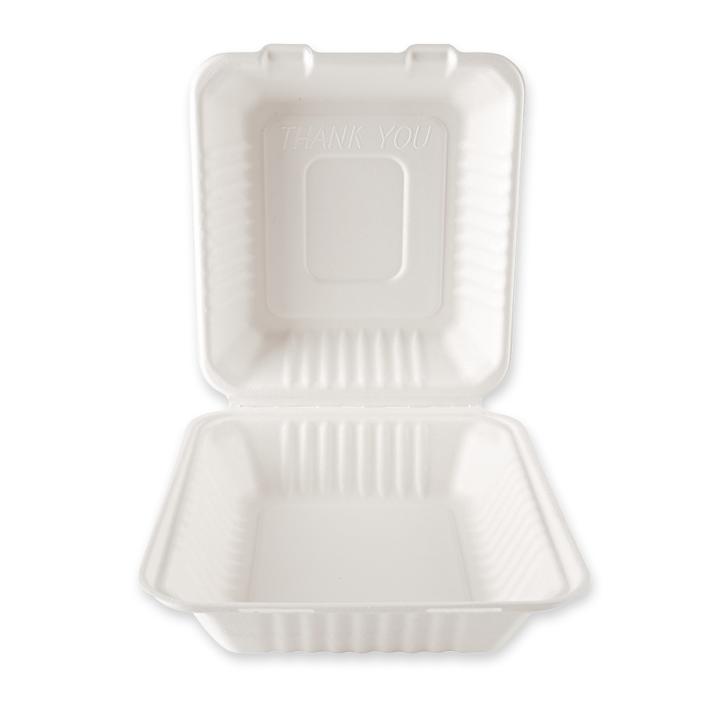 Organic menu boxes with hinged lid made of bagasse, 22 cm long and half-open