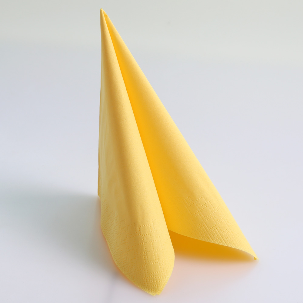 Napkins "Classic" 33 x 33 cm | 2-ply, FSC®-certified