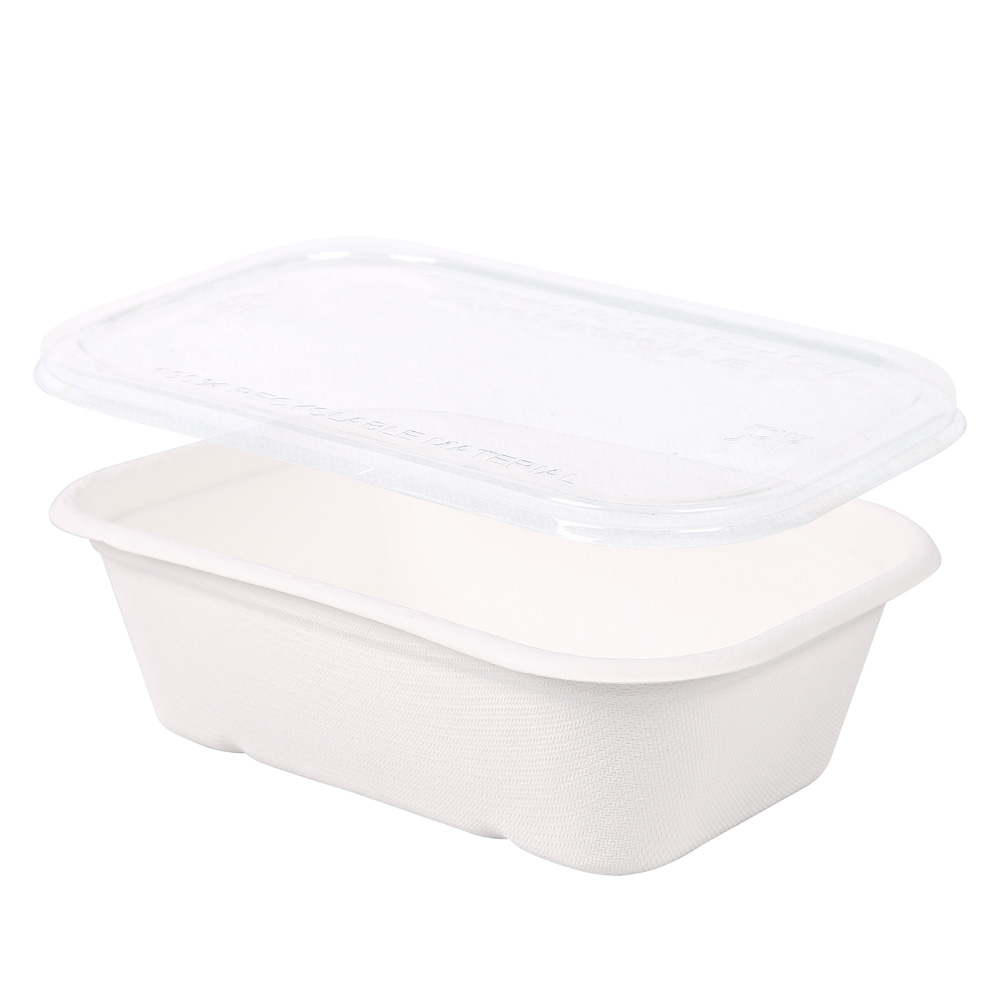 Tray Casa, sugarcane with the lid