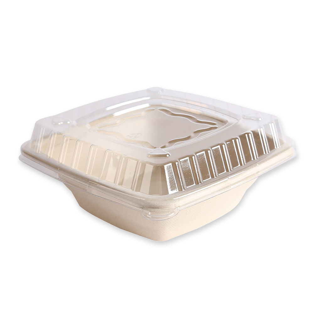 Organic trays, square made of bagasse, with lid