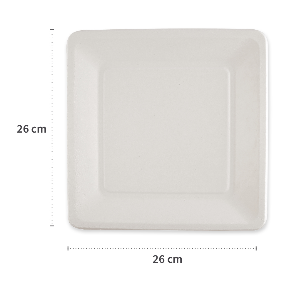Organic plates, square made of bagasse, dimensions