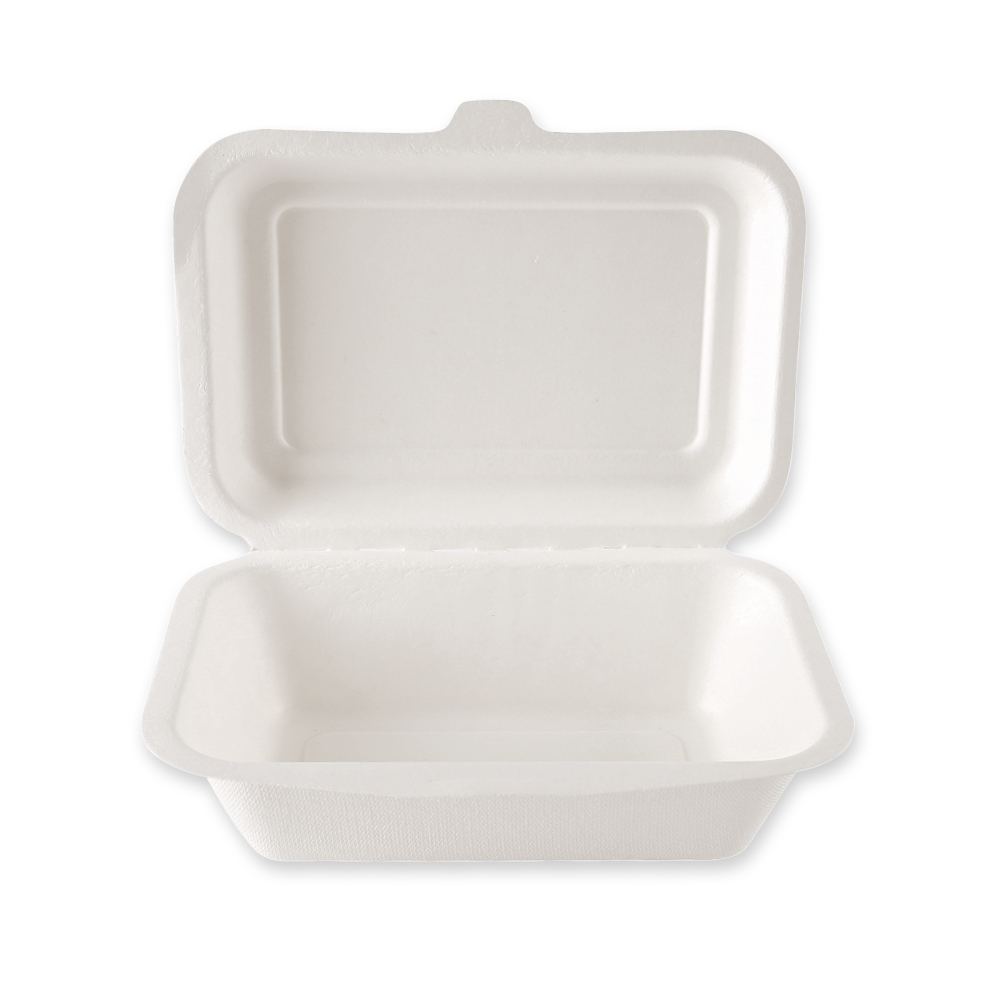 Organic menu boxes with hinged lid made of bagasse, 18,5 cm long and half-open