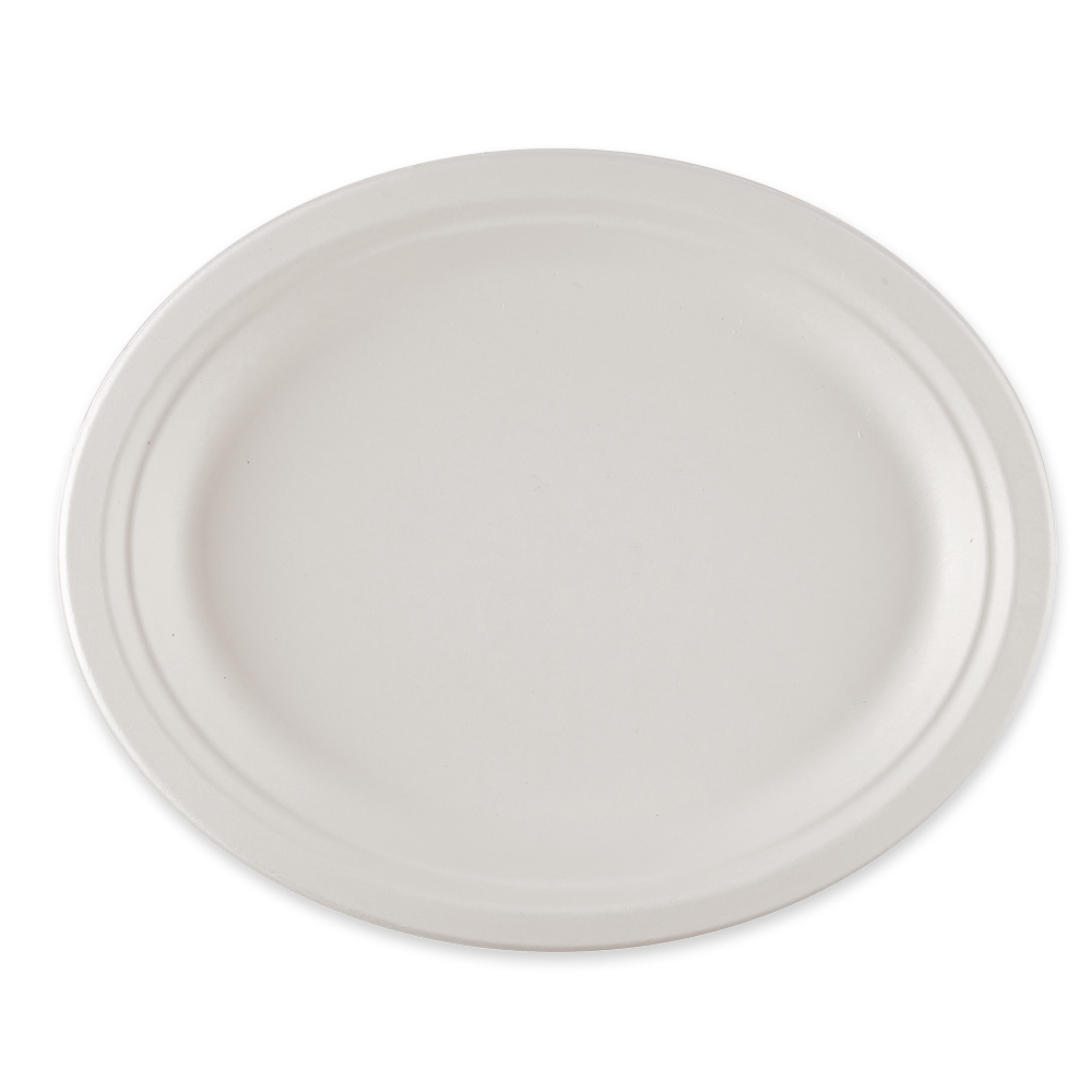 Organic plates, oval made of bagasse, front view