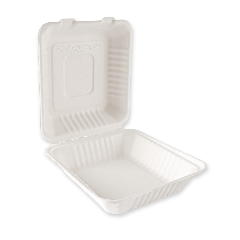 Organic menu boxes with hinged lid made of bagasse, in the side view