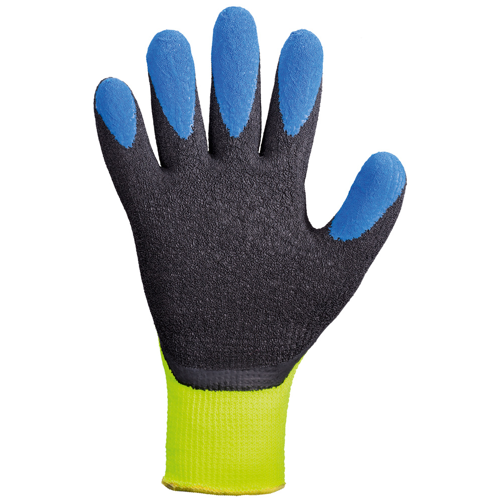 Stronghand® Forster 0242, cold protection gloves in the back view