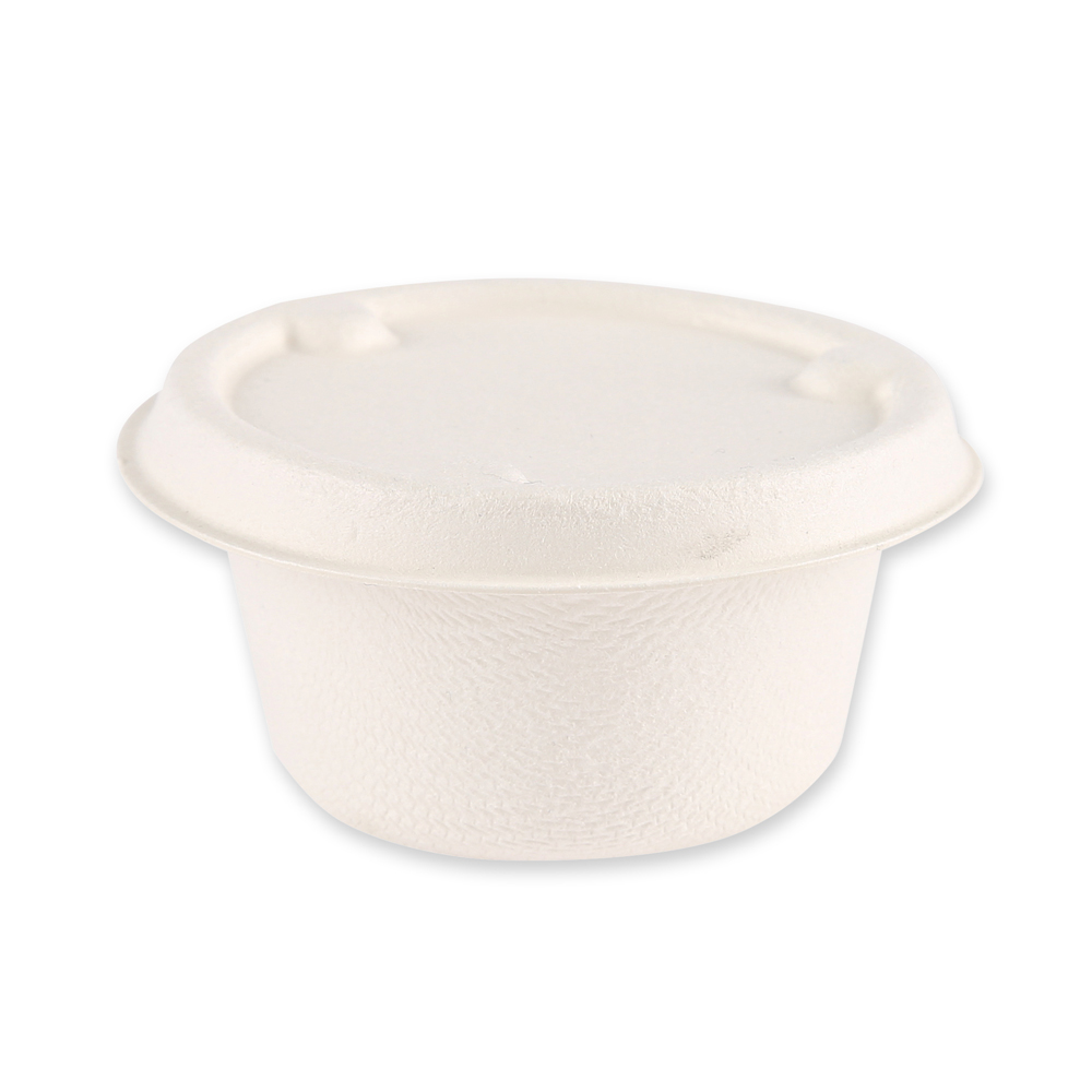 Organic dressing bowl from sugar cane in the front view 