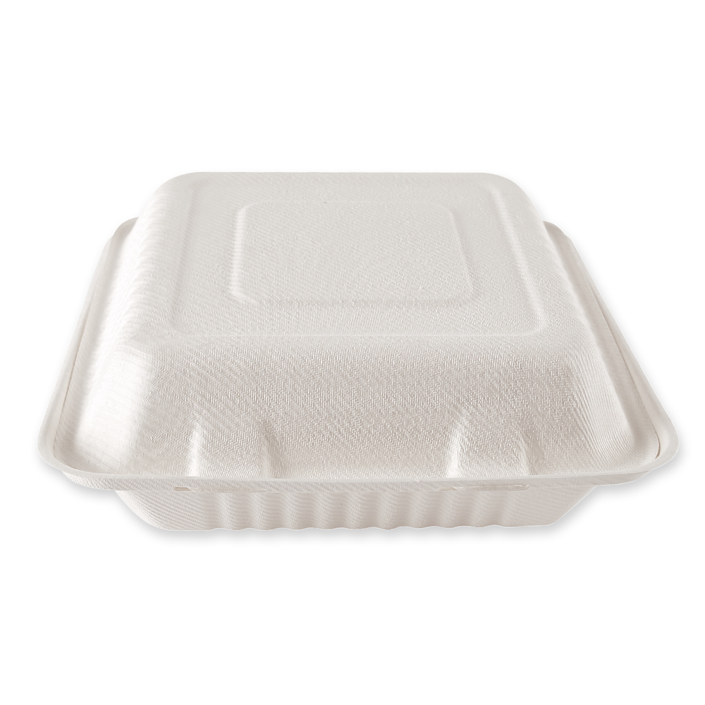 Organic menu boxes with hinged lid made of bagasse, 23 cm long and closed