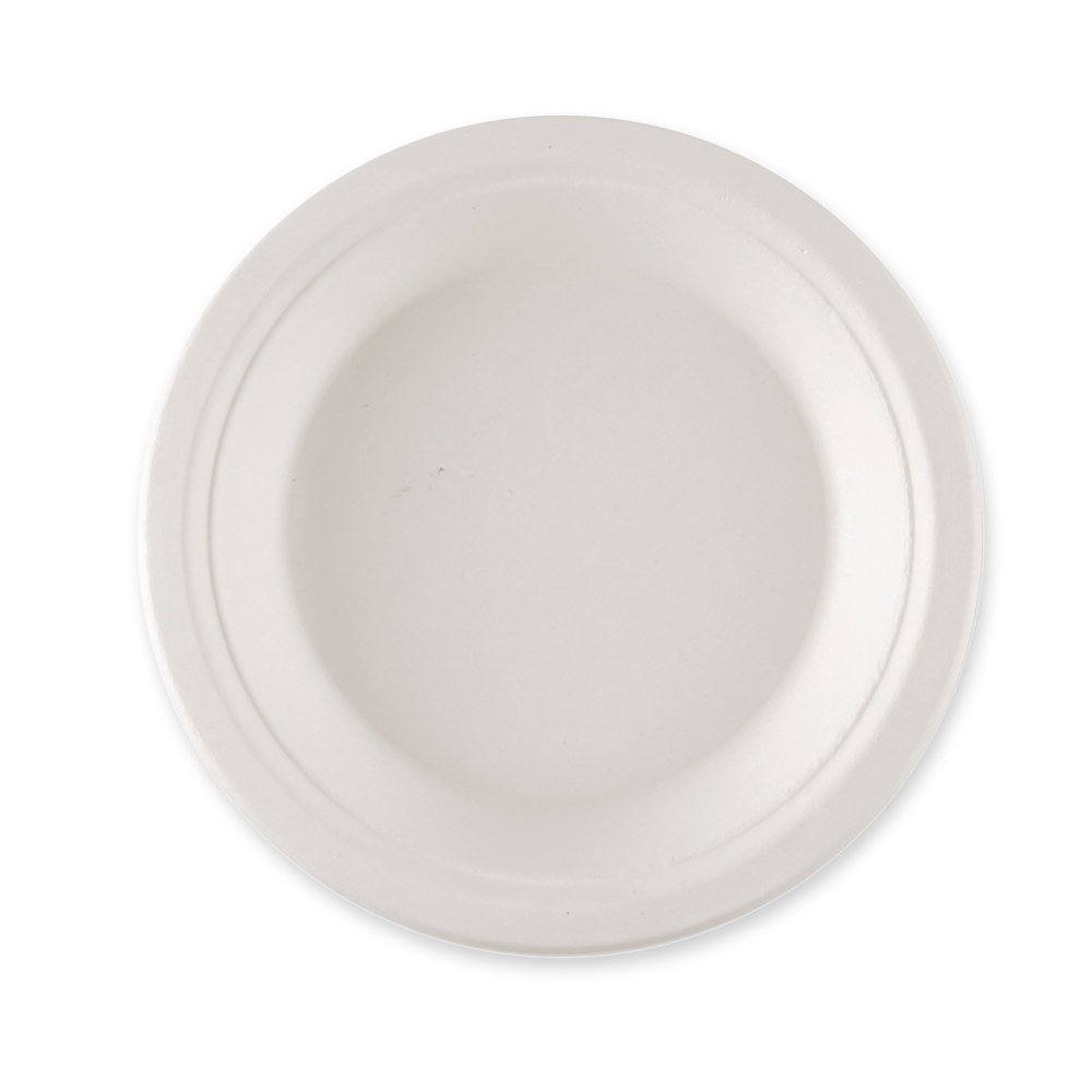Organic plates, round made of bagasse, front view