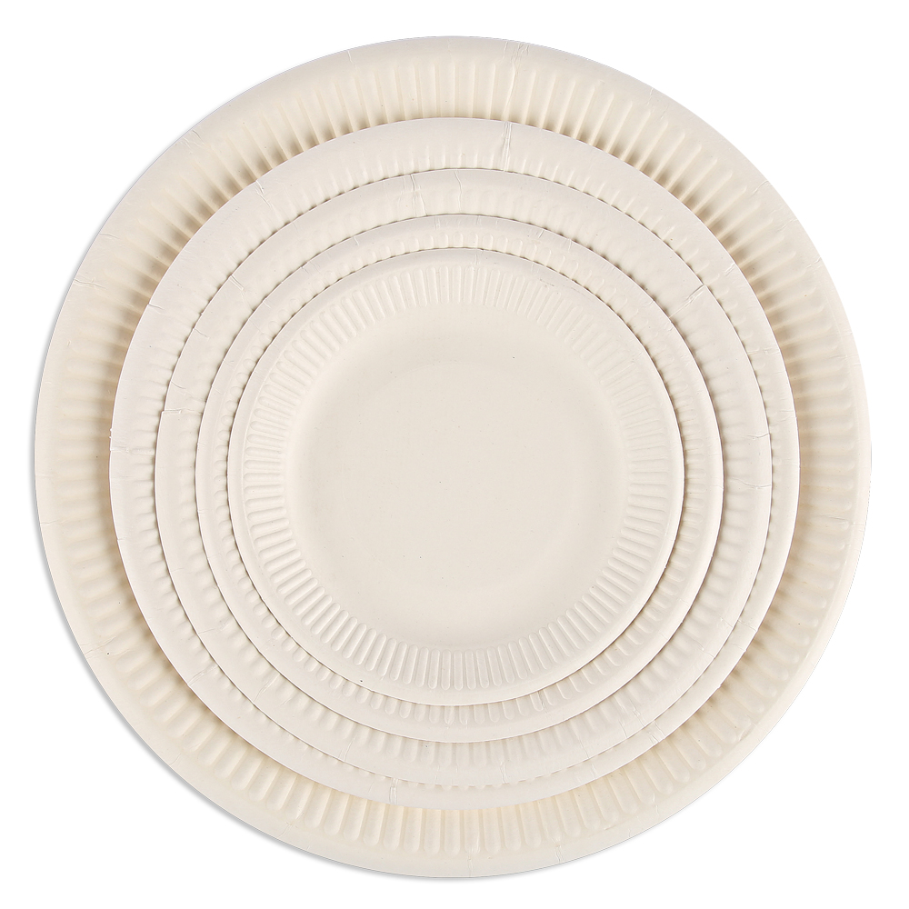 Organic snack plates, round made of bagasse, variants, white