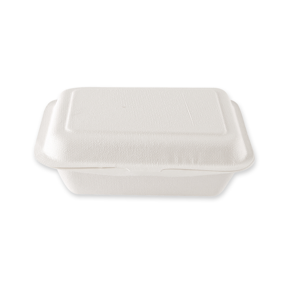 Organic menu boxes with hinged lid made of bagasse, 18,5 cm long and closed