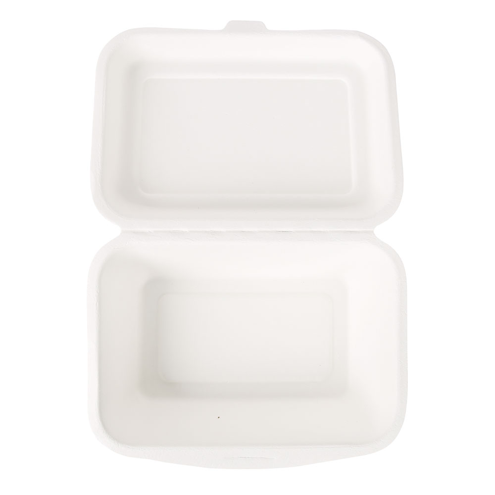 Organic menu boxes with hinged lid made of bagasse, 18,5 cm long and open