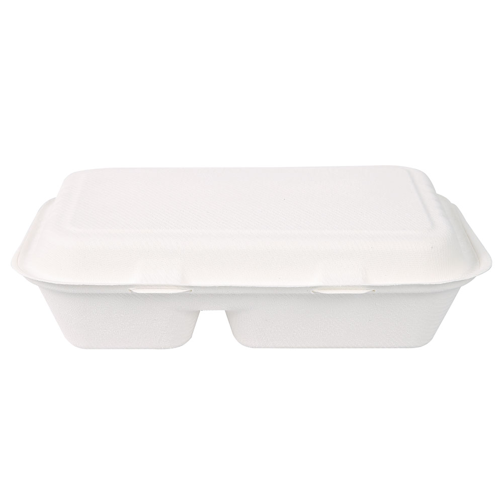 Organic menu boxes with hinged lid, 2-compartments made of bagasse in the front view, closed
