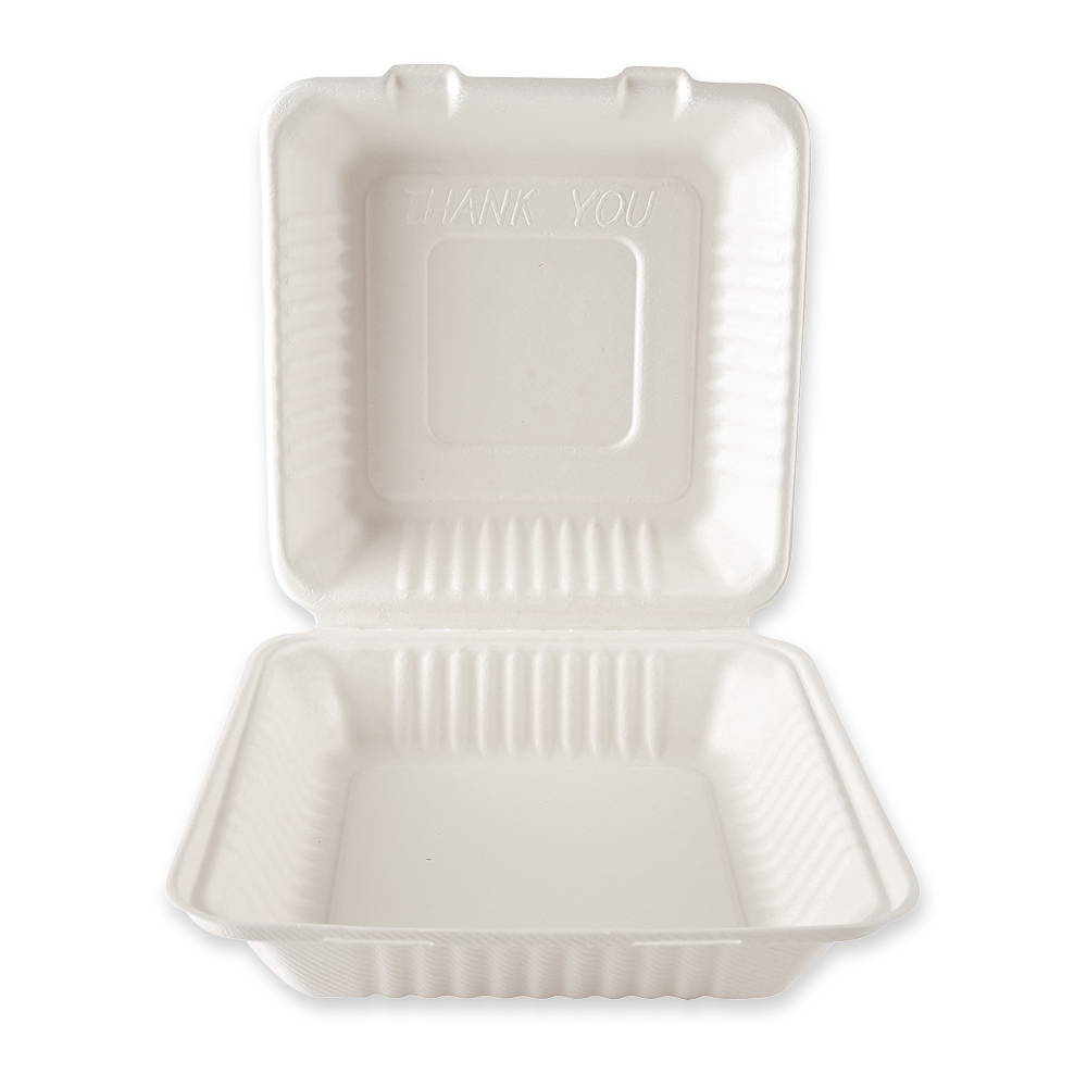 Organic menu boxes with hinged lid made of bagasse, 23 cm long and half-open