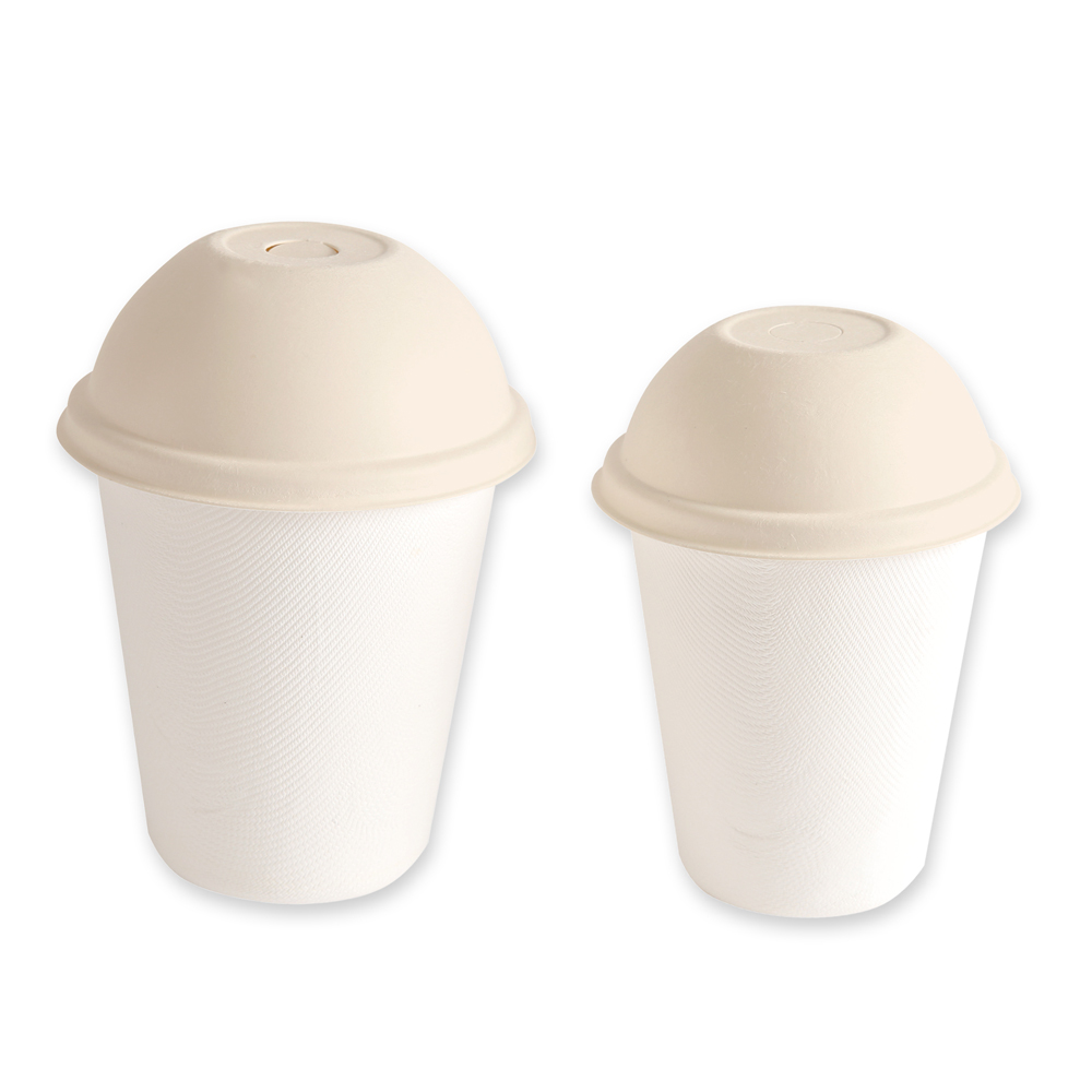 Organic dome lids made of bagasse, with cup nature