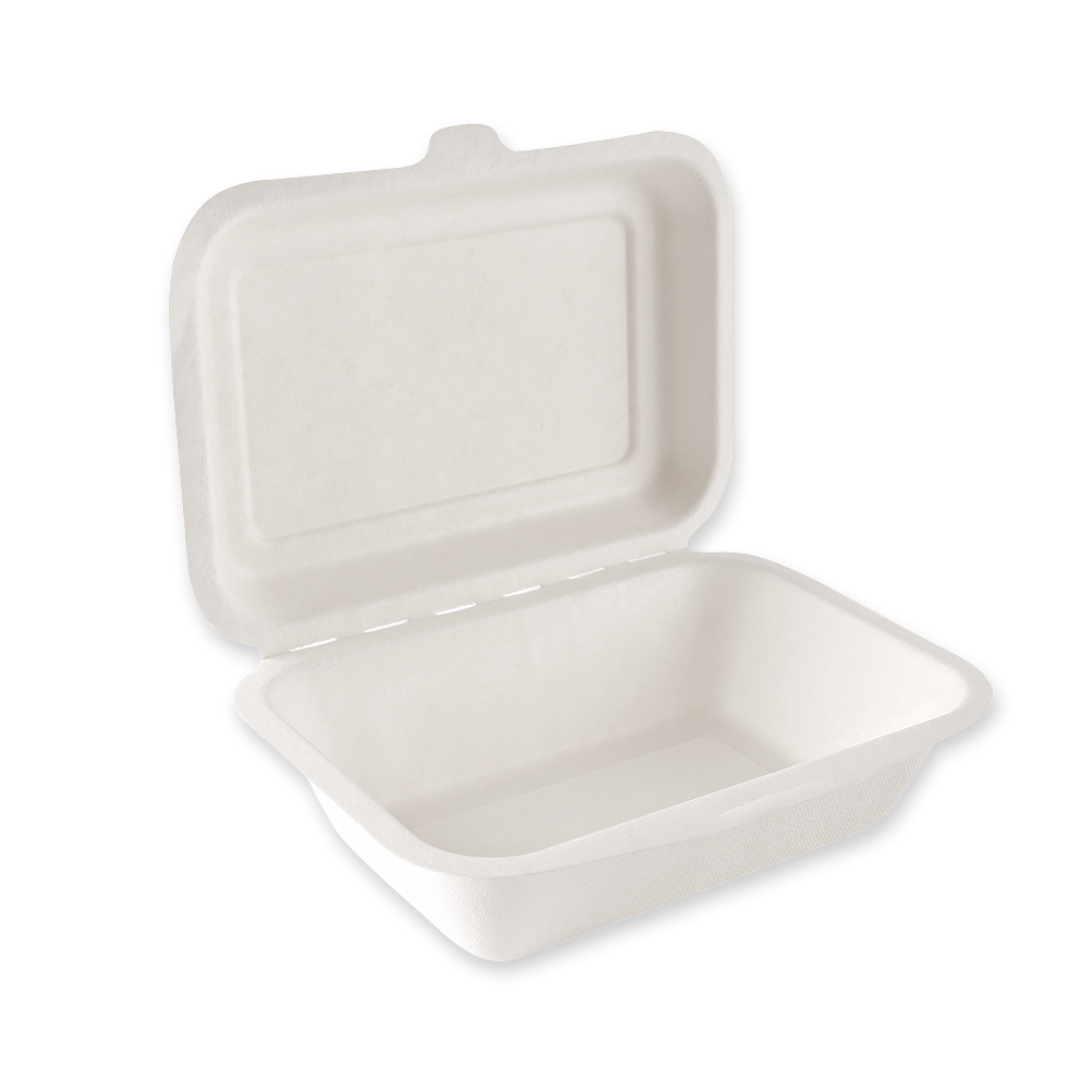 Organic menu boxes with hinged lid made of bagasse, in the side view