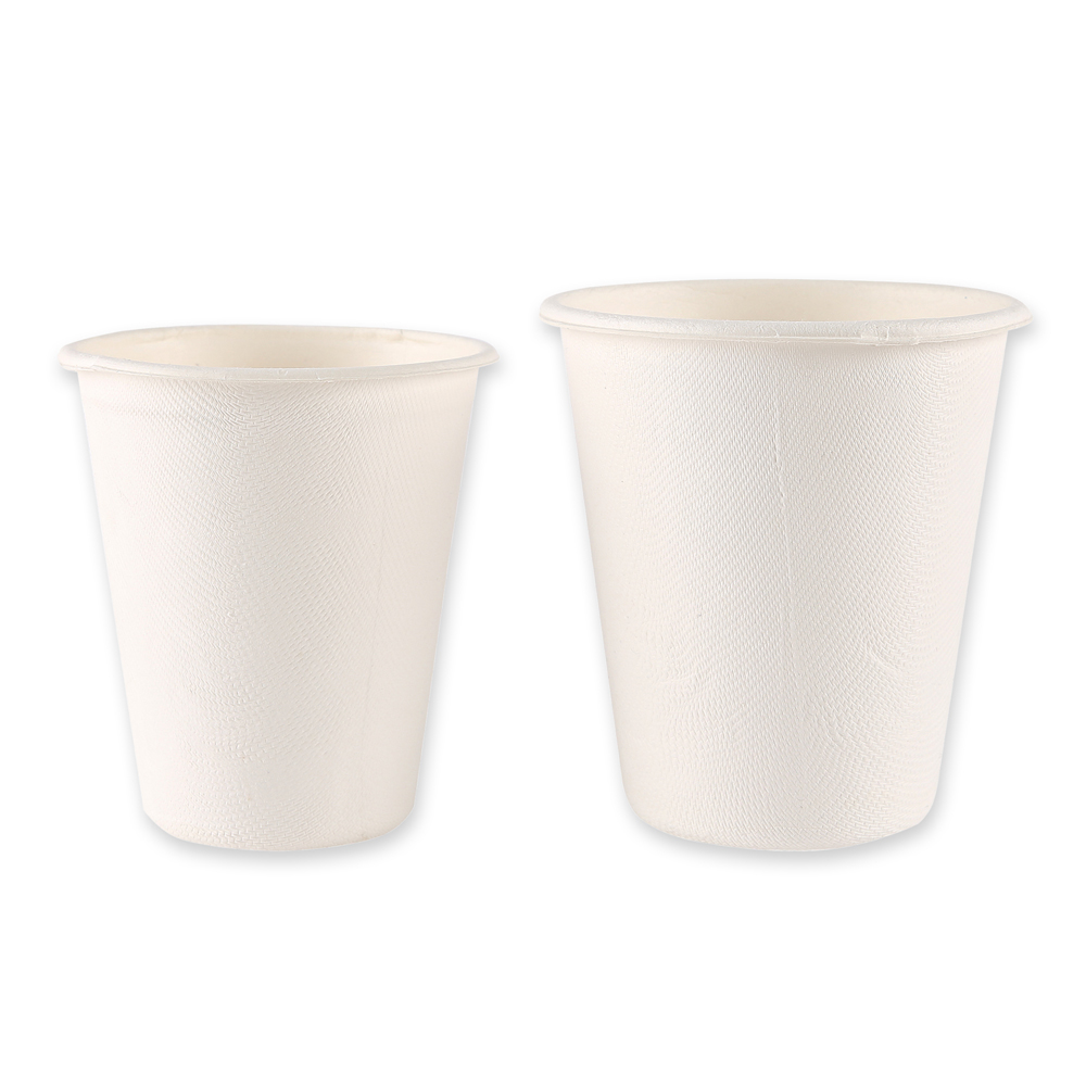 Organic sugar cane cup in white with both sizes