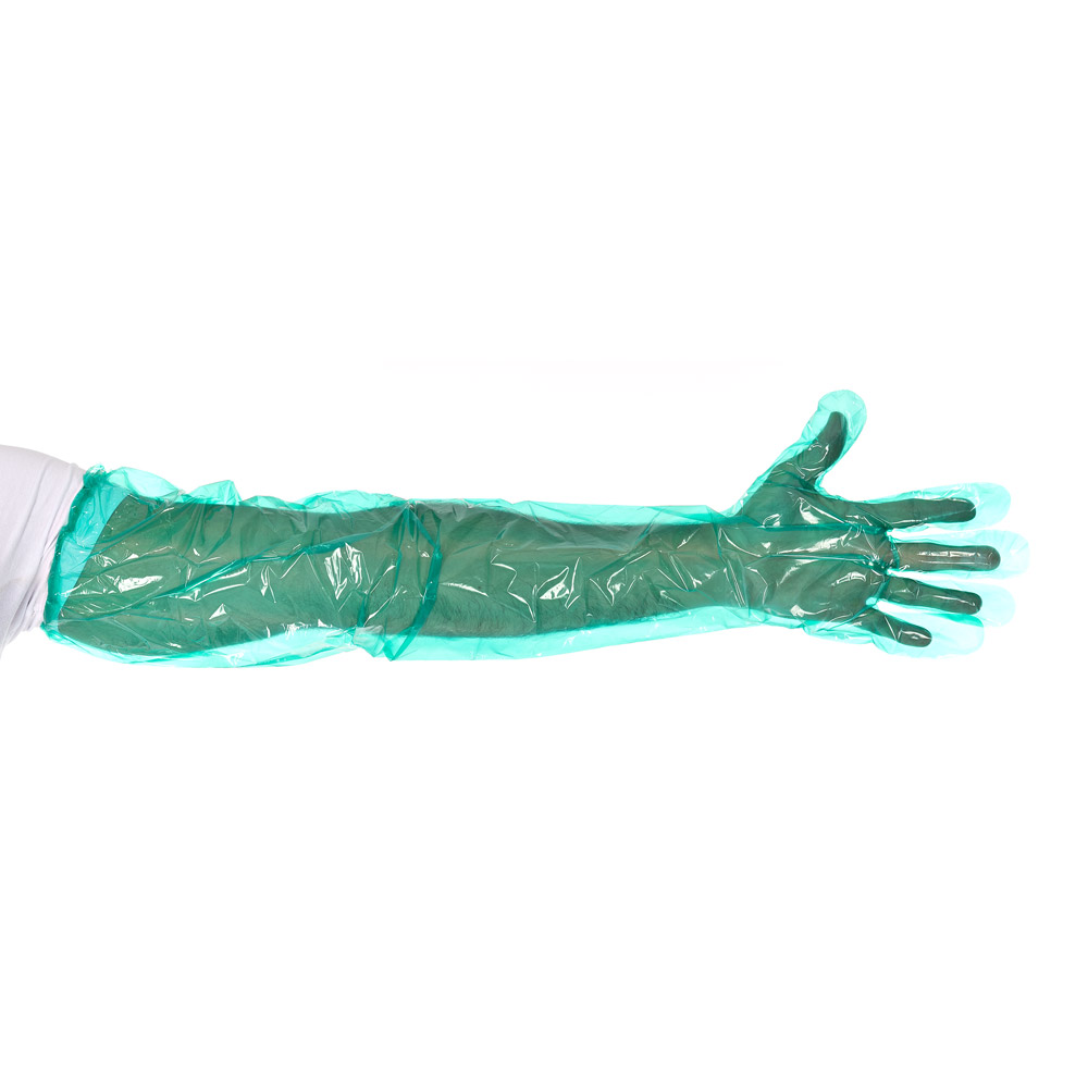 LDPE gloves Softline Long Plus in green, stretched