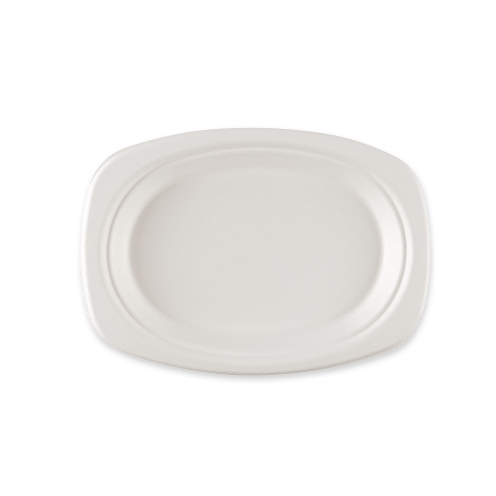 Organic plates, oval made of bagasse, front view
