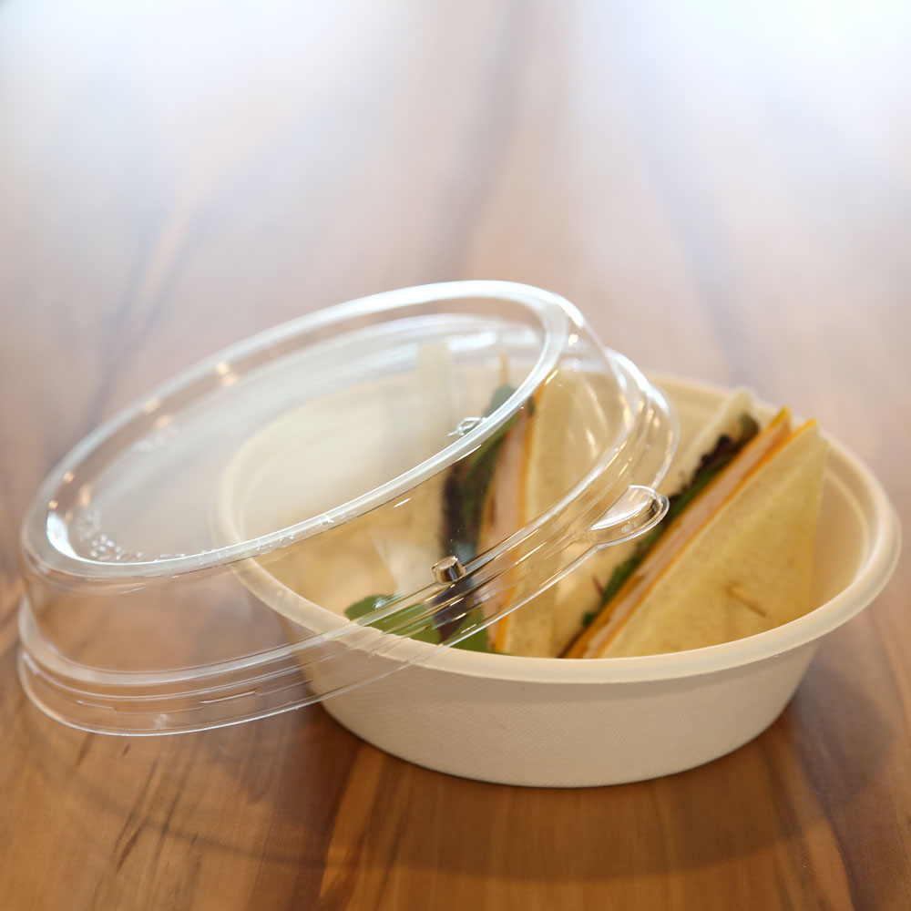 Biodegradable bowl round made of sugarcane food safe