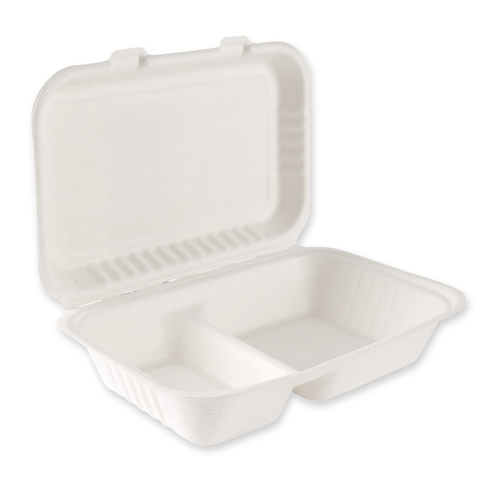 Organic menu boxes with hinged lid, 2-compartments made of bagasse in side view